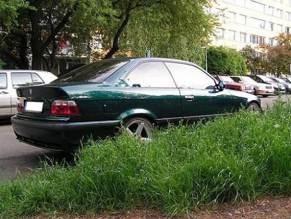 Obrázek