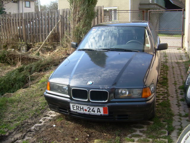 Obrázek