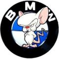 Uživatelský avatar