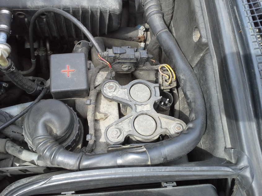 solenodiy
