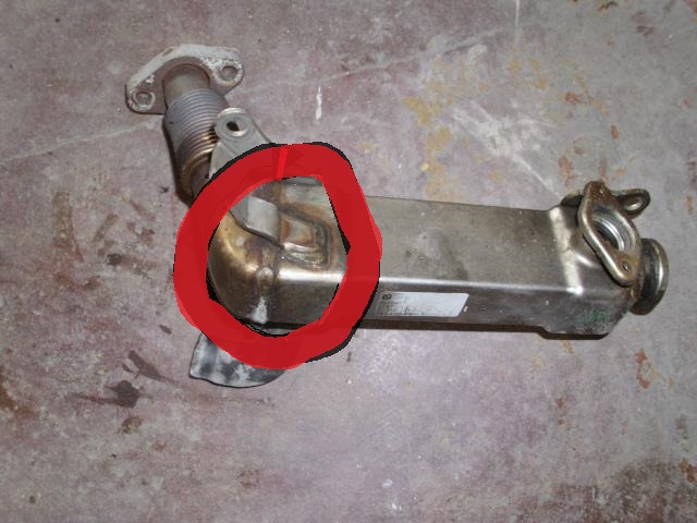 5968152527.jpg