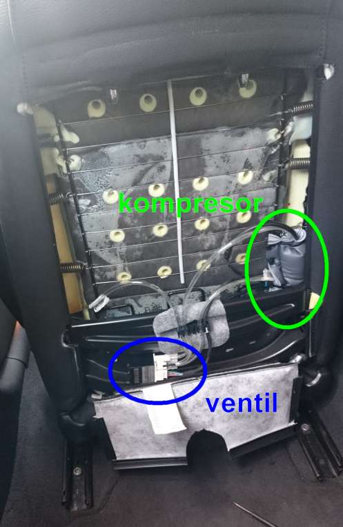 03 odkryta zada.jpg