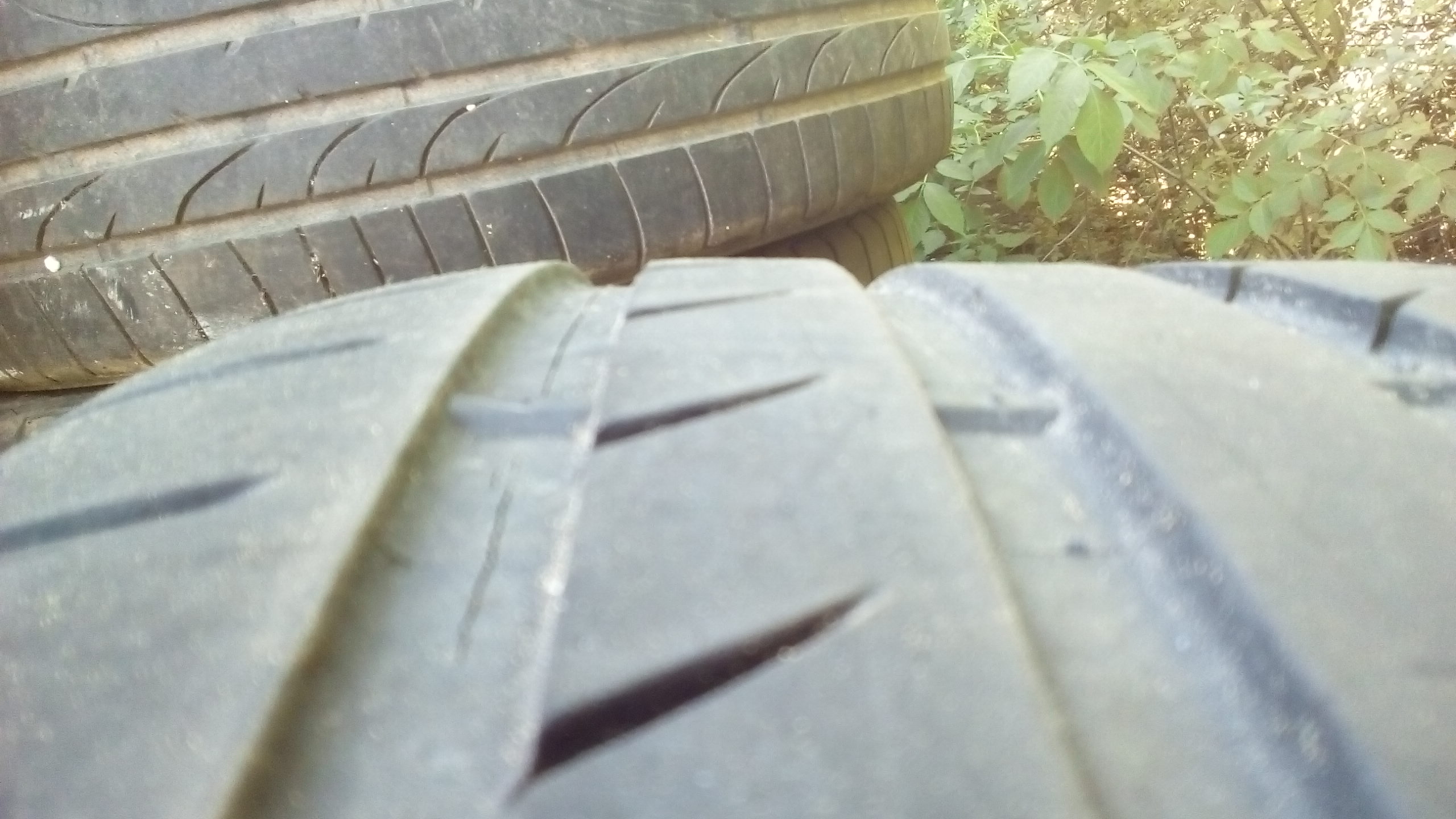 michelin.1.jpg