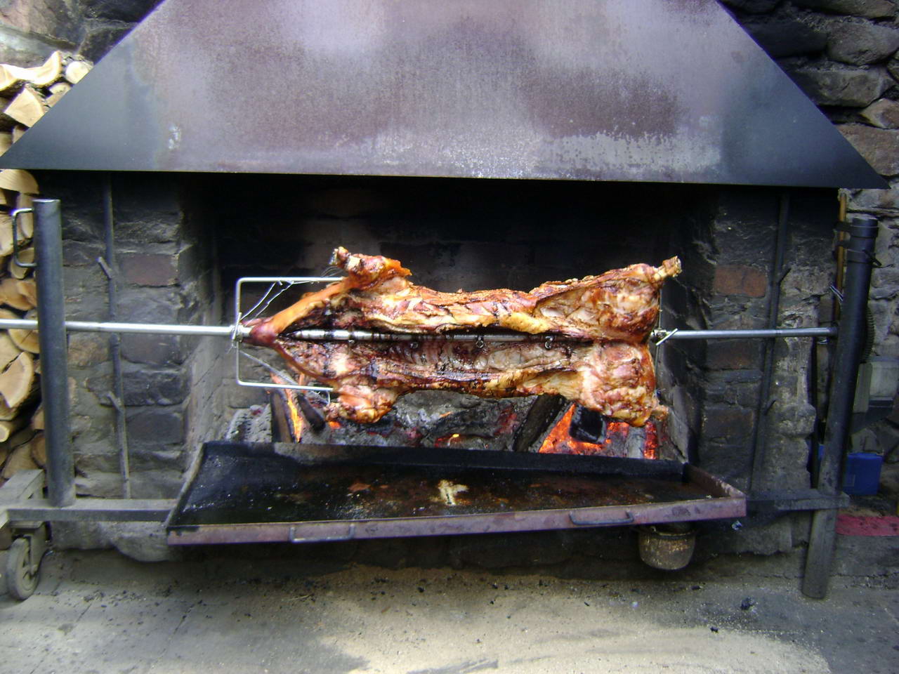 Big.Pig.jpg