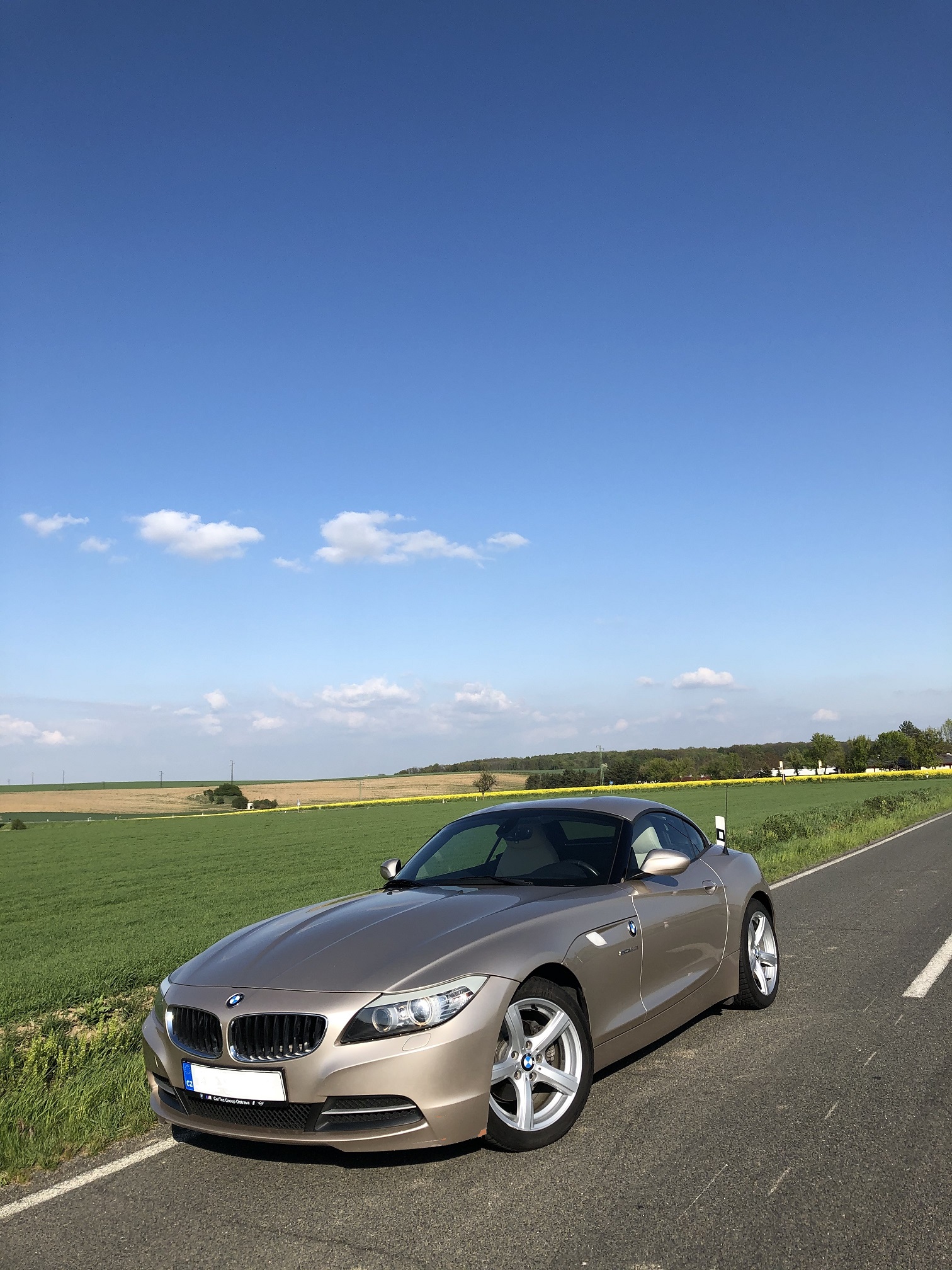 z44.jpeg