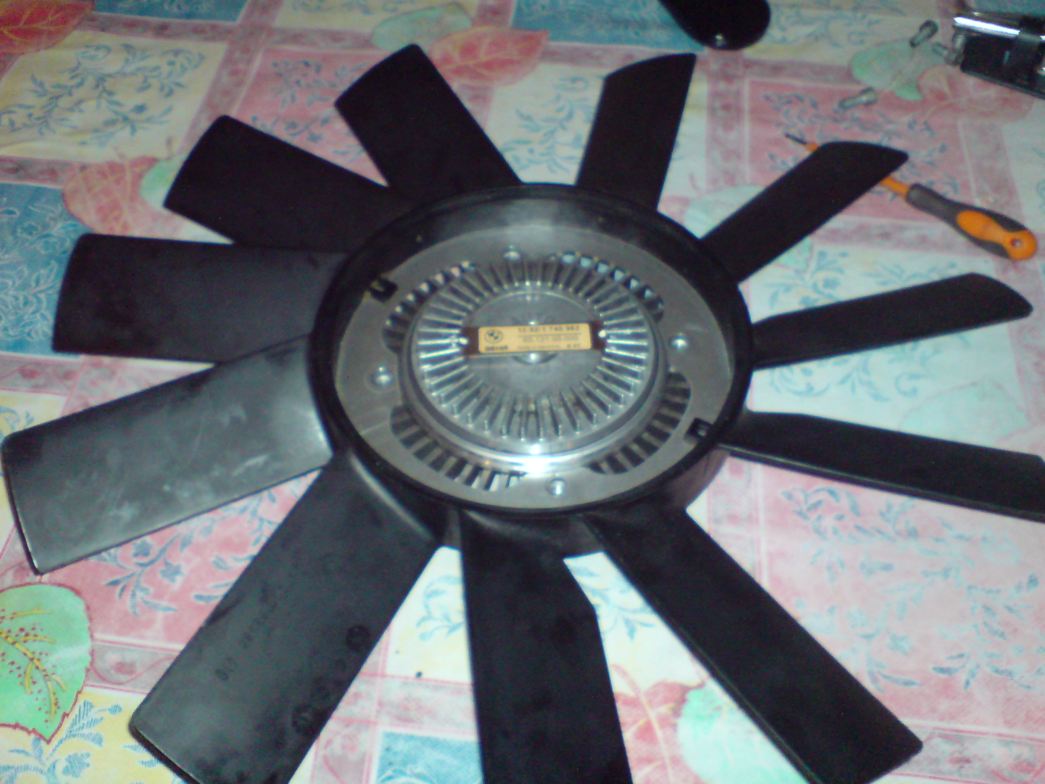 dsc03923.jpg