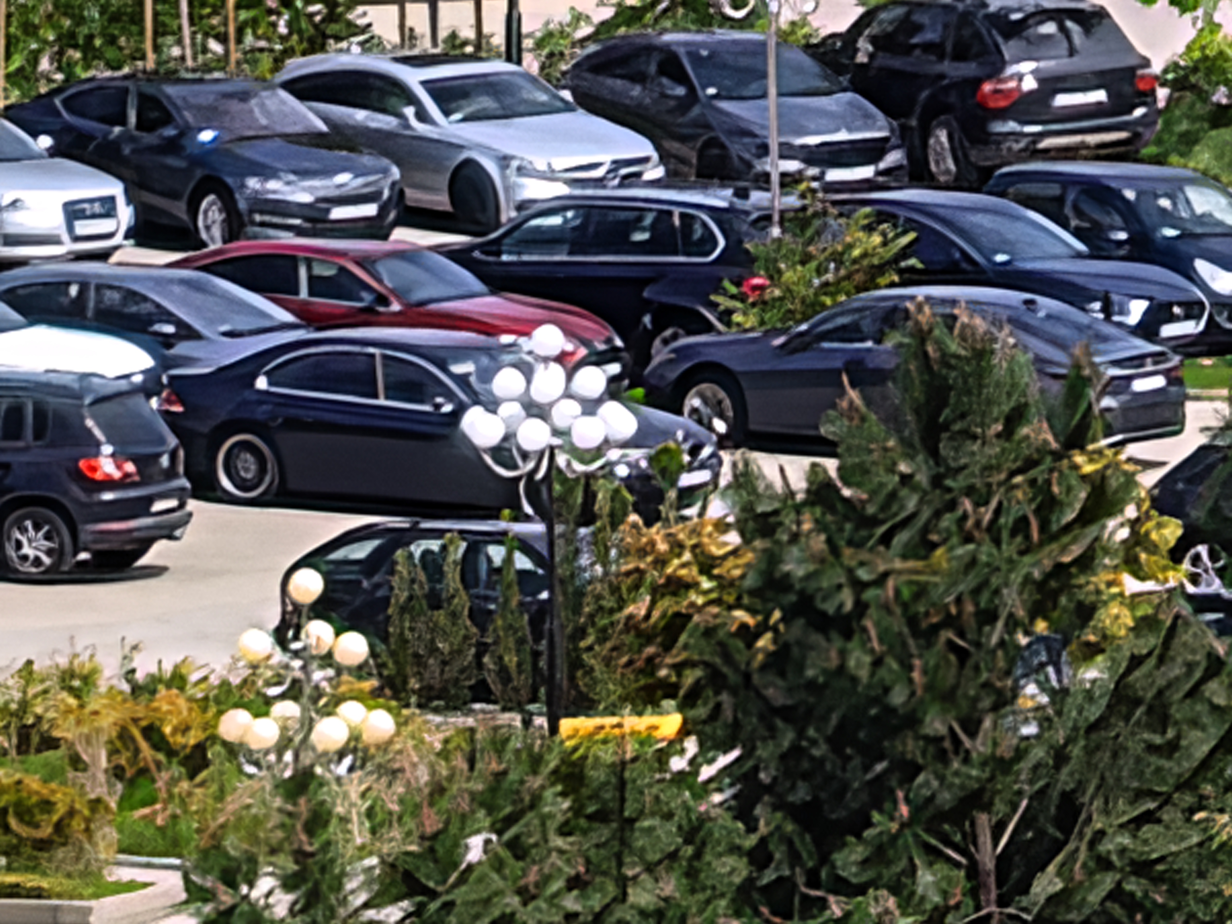 IMG_20250525_134934.jpg