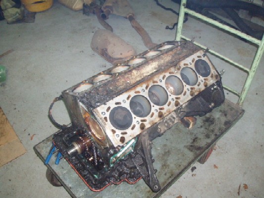 P1010015-2.JPG