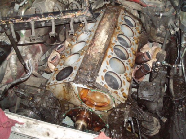 motorpred.jpg