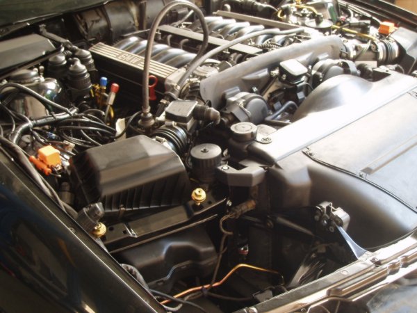 motor_hotovo2.jpg