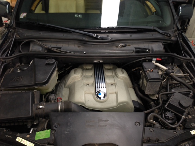 Motor