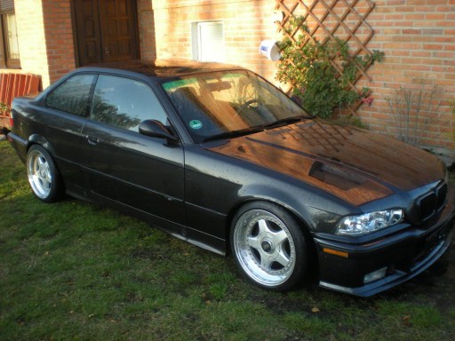 bbs rf (512 x 384).jpg