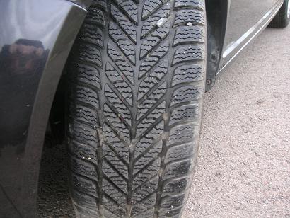 13g13.JPG