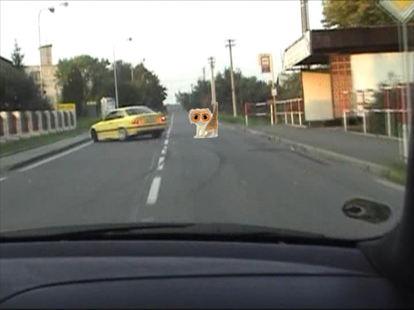 zasekockanasilnici.jpg