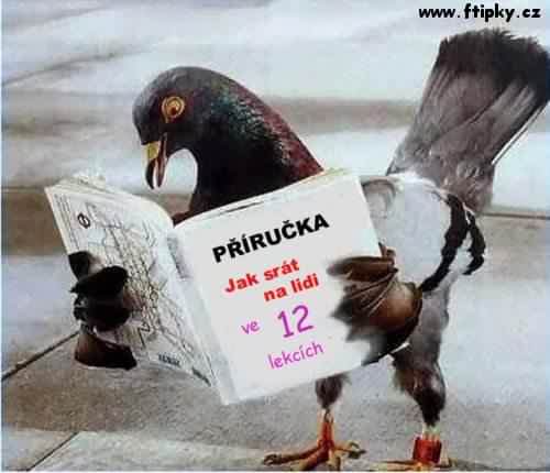 prirucka_pro_holuby.jpg