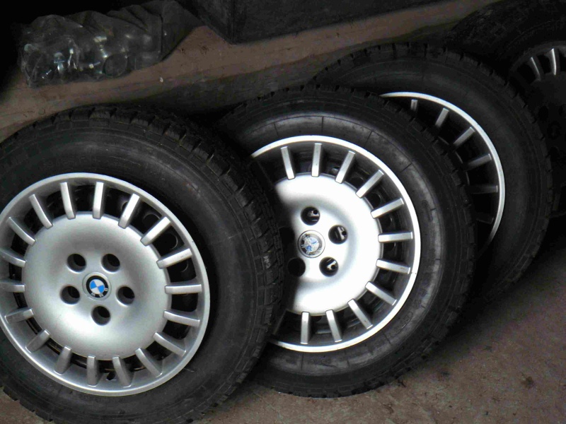 P1060207 (1).jpg