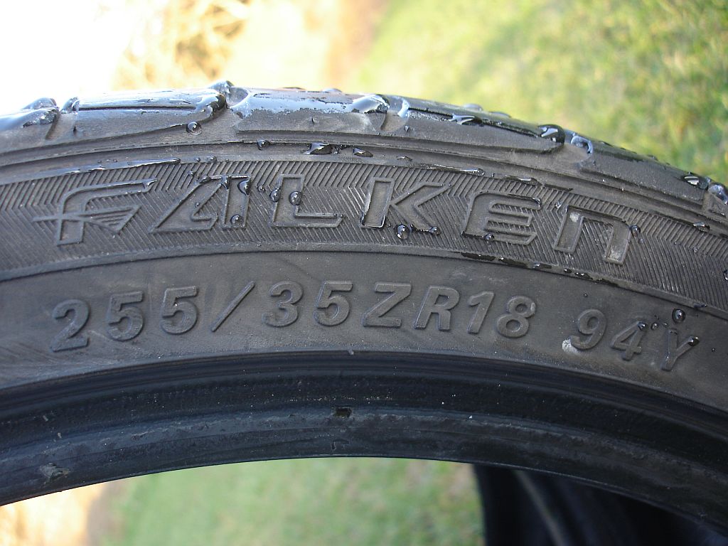 falken.jpg