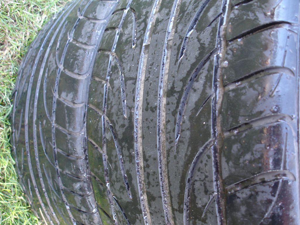 falken 2.jpg