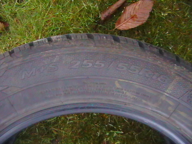 IMGA1561.JPG