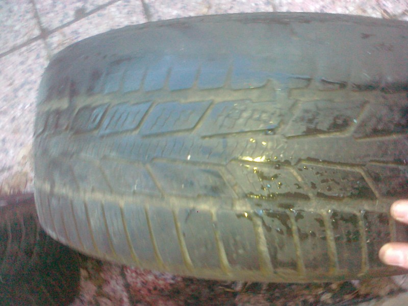 25022012060.jpg