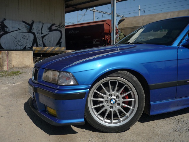 P1100530.jpg