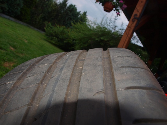 P1010220.jpg