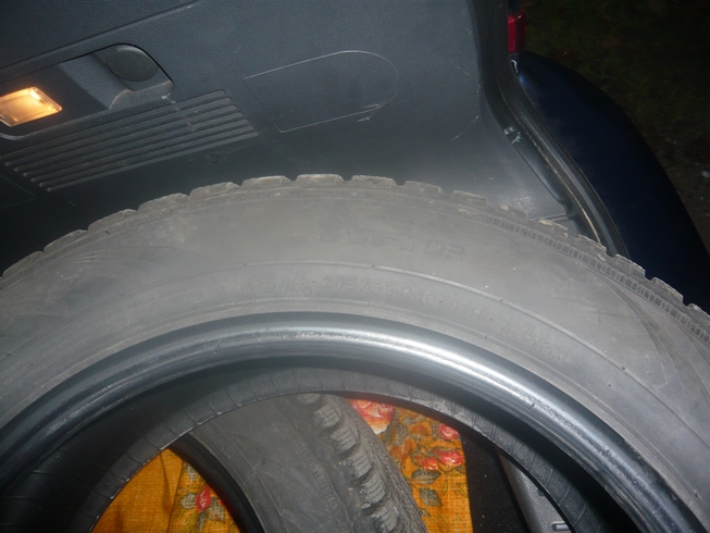 P1050658m.jpg