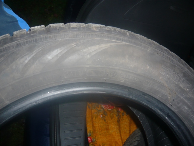 P1050659m.jpg