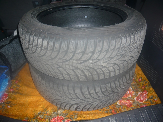 P1050661m.jpg