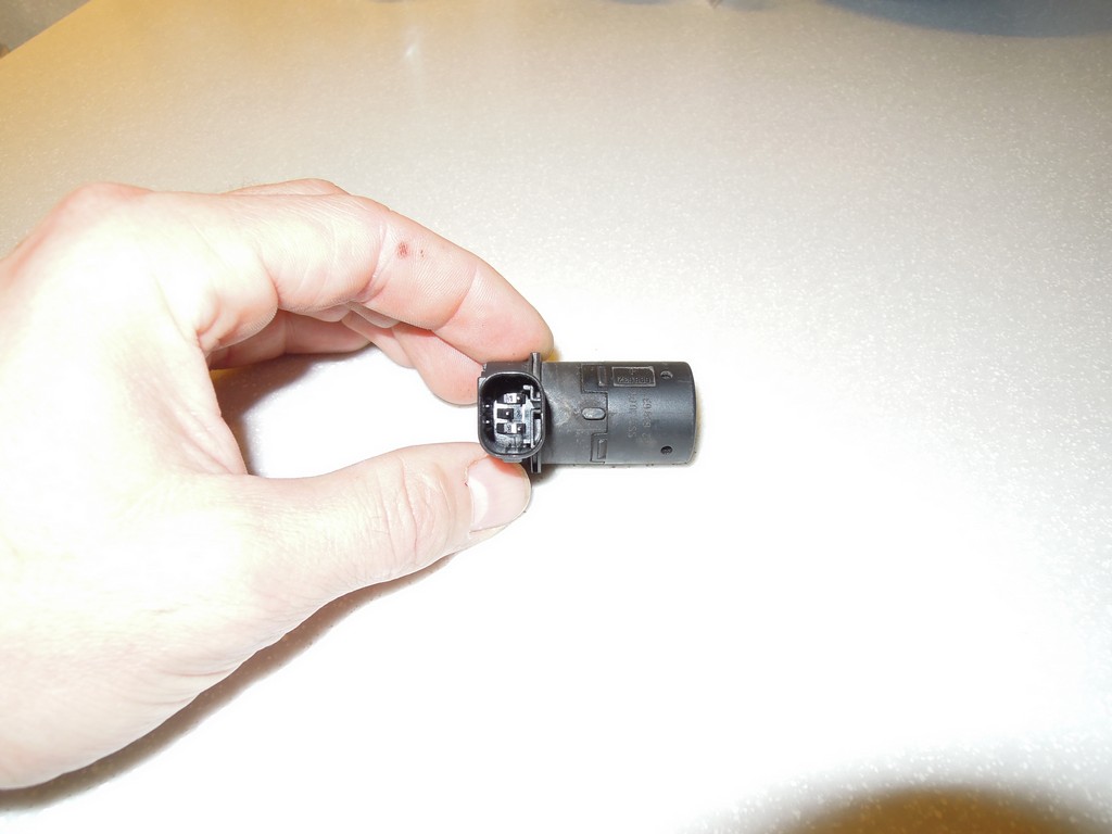DSCN6486.JPG