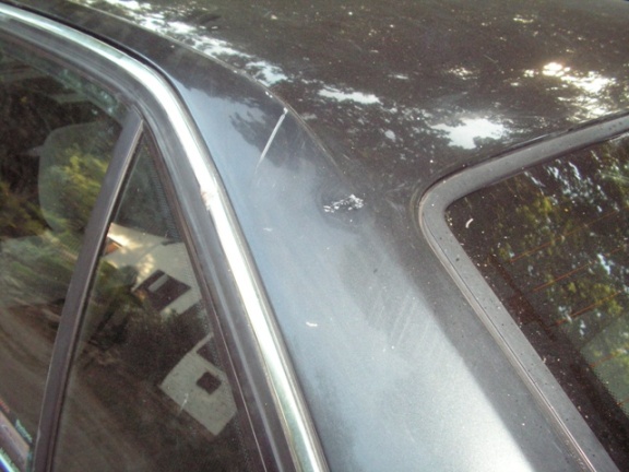 PICT0221.JPG