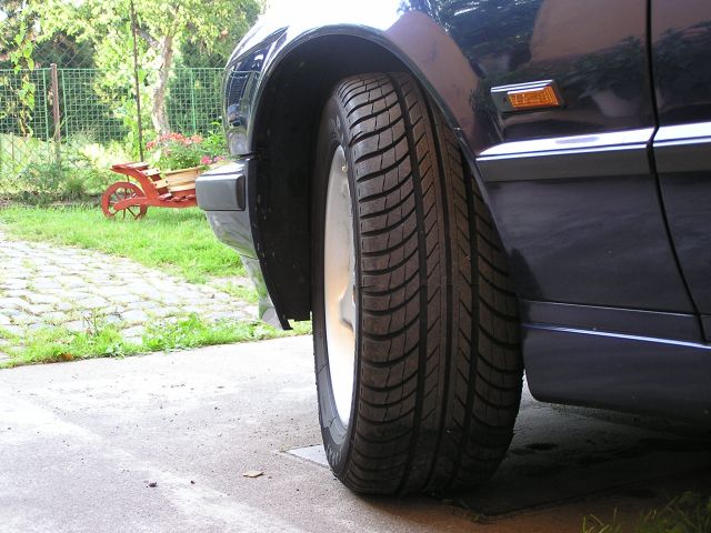 P8050555.jpg