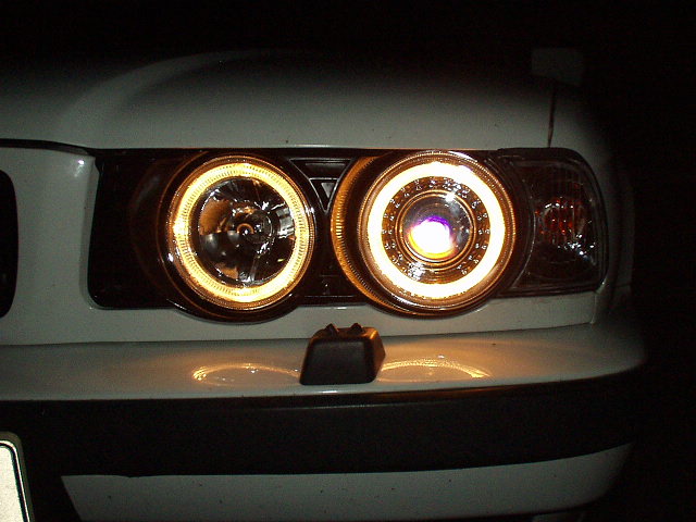 P9010043.JPG