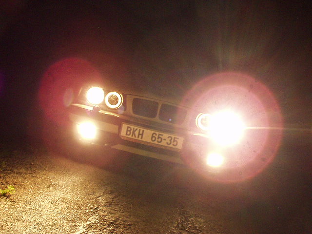 P9010039.JPG