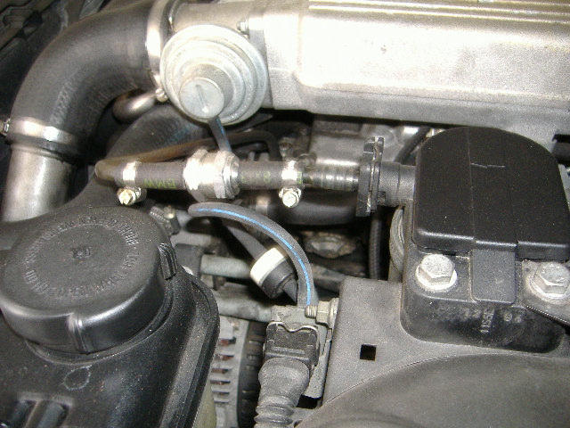 DSCF0974.JPG