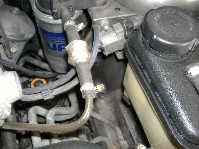 DSCF0973.JPG