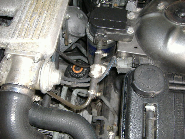 DSCF0972.JPG
