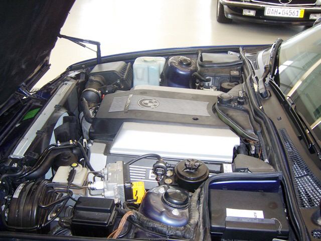 4597_27.jpg
