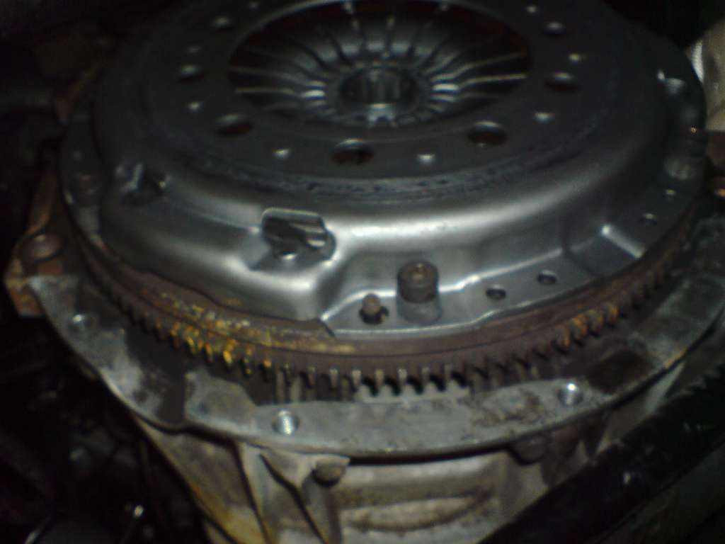 DSC01414.JPG