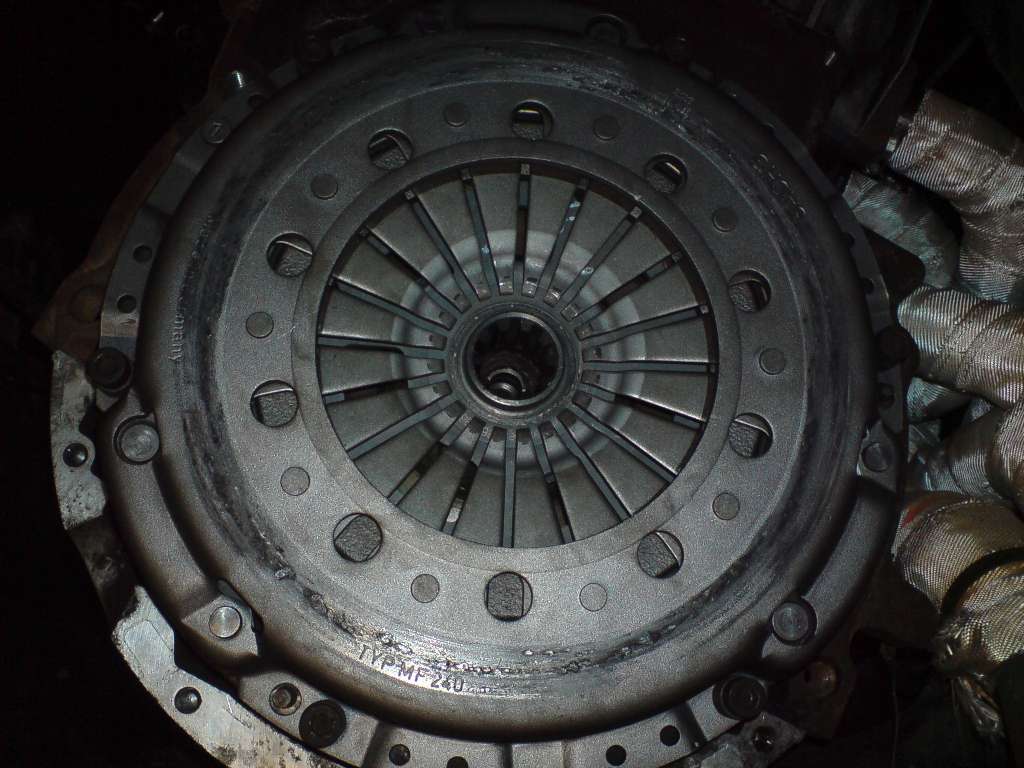 DSC01412.JPG