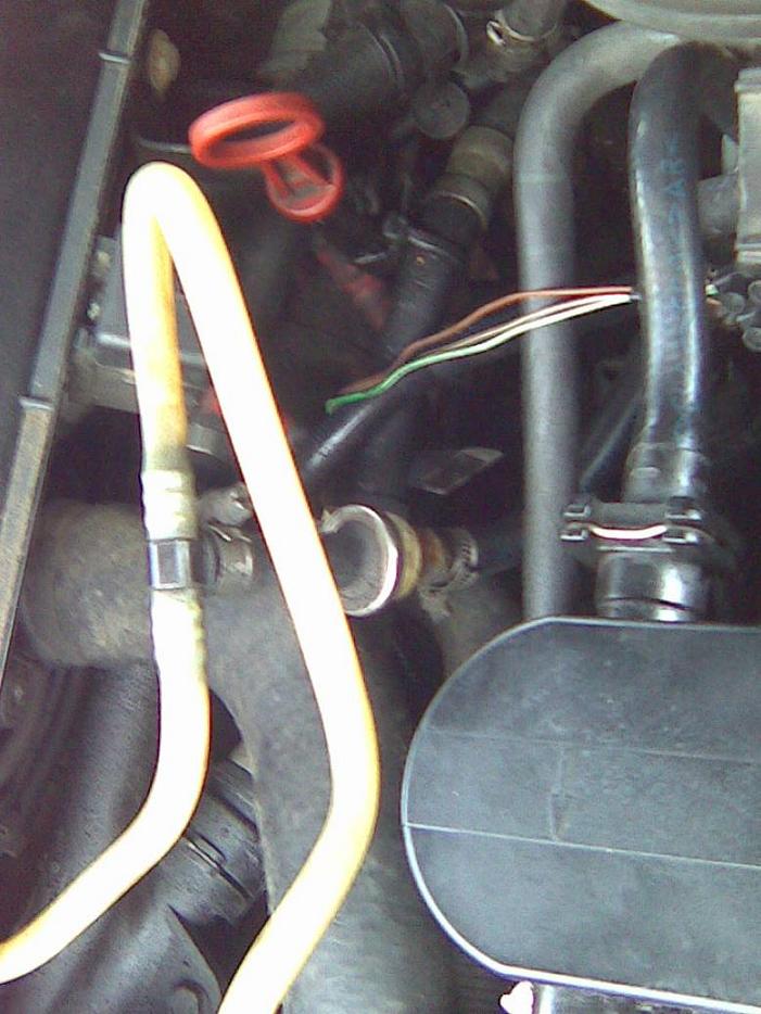 Obraz006.jpg