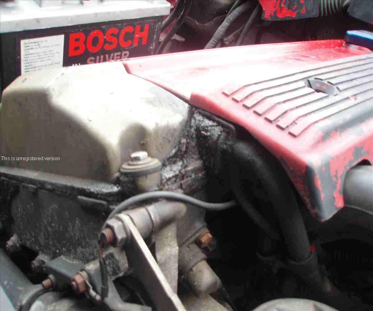 P1253988_out.jpg