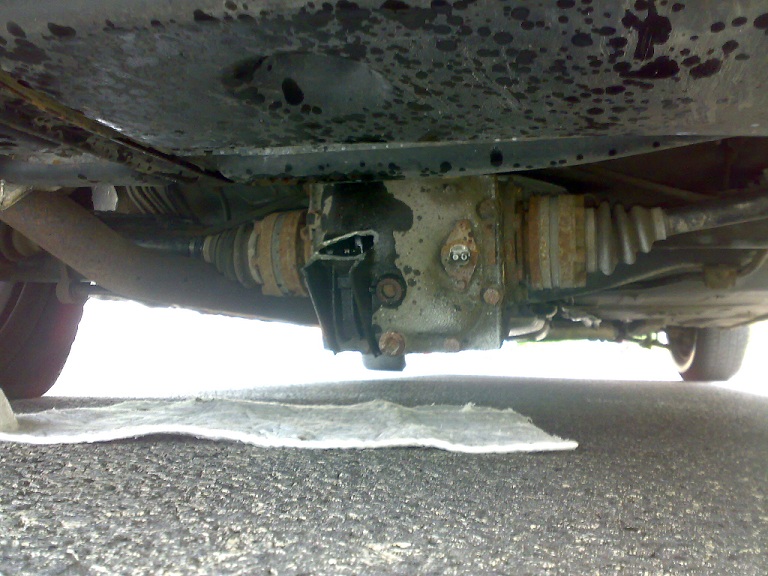 11082010369.jpg