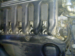 20110504_003.jpg