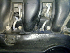 20110504_002.jpg
