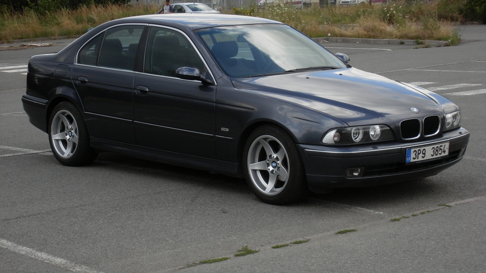 SL370875.JPG