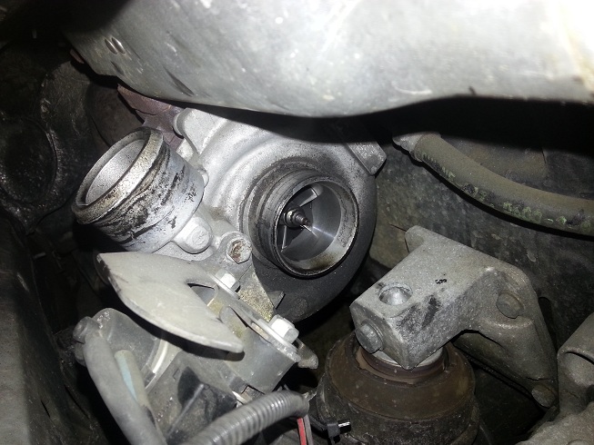 20130131_125959.jpg