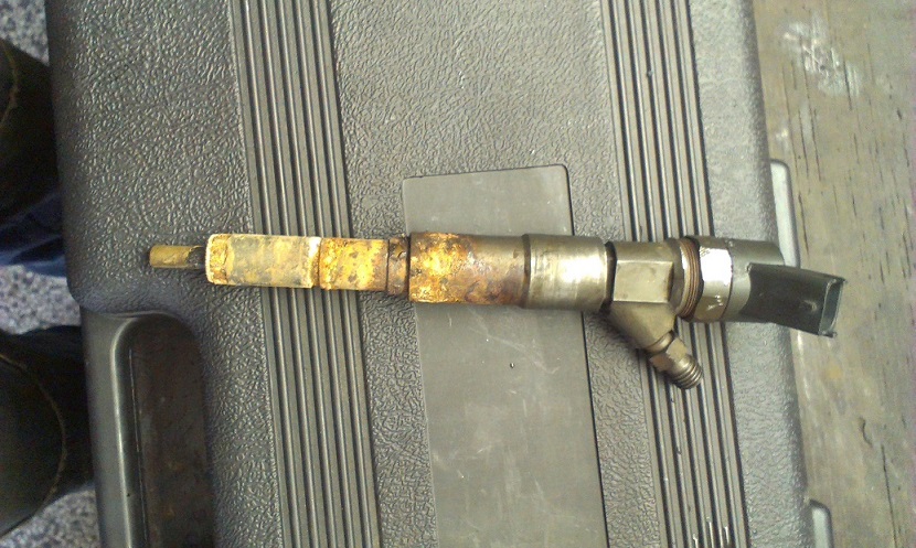 IMAG0331.jpg