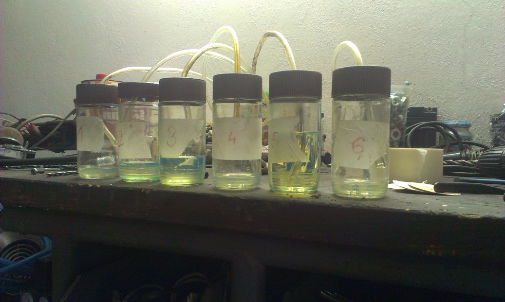 IMAG0349.jpg