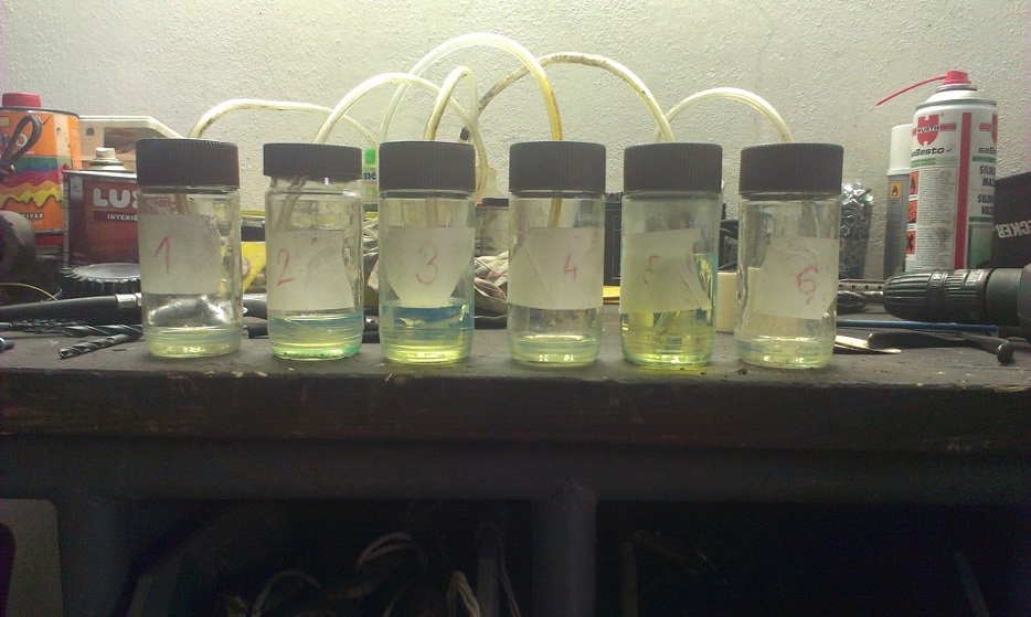 IMAG0346.jpg